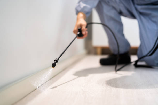 Licensed Fumigation Services service in Orange County County, TX - Nex Pest Control